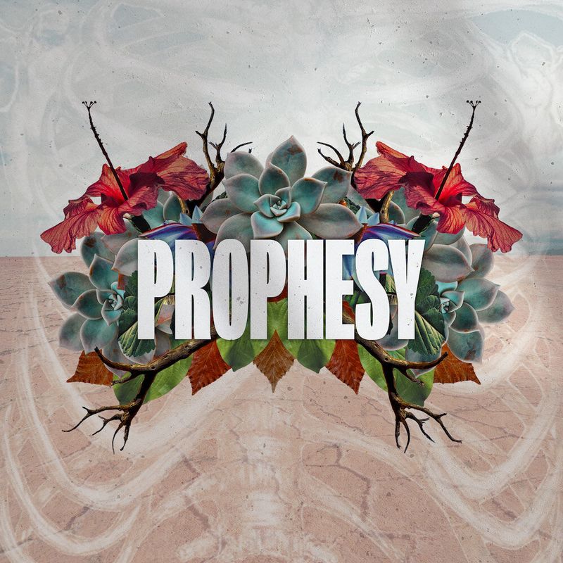 68250ef4ece6e774287c09ca Influence Music Prophesy P 800
